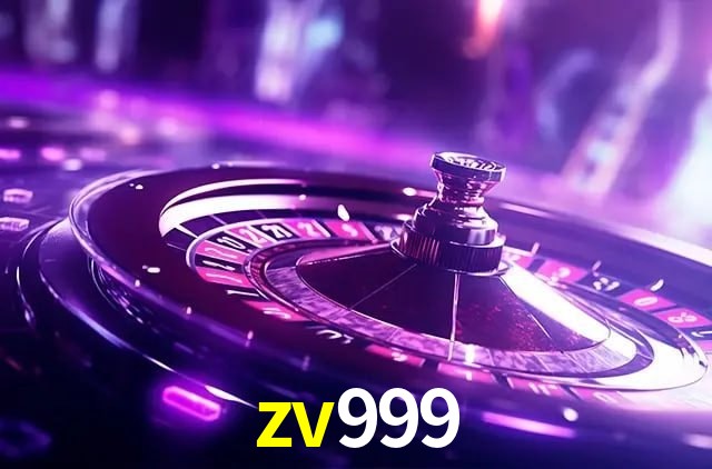 Interface Premium zv999